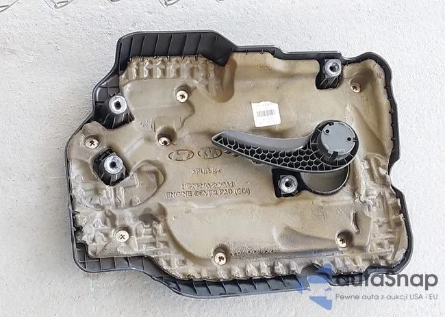 5NPE24AF1GH365553: 42750340