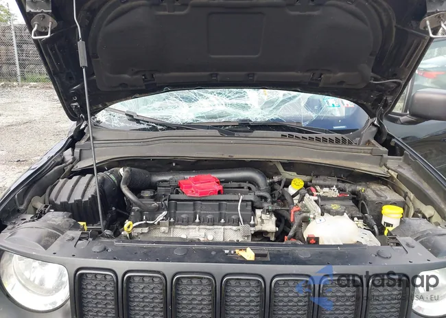 ZACNJDAB4MPN30785: 42751636