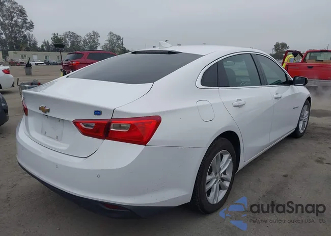 1G1ZF5SU4JF238931: 42752556