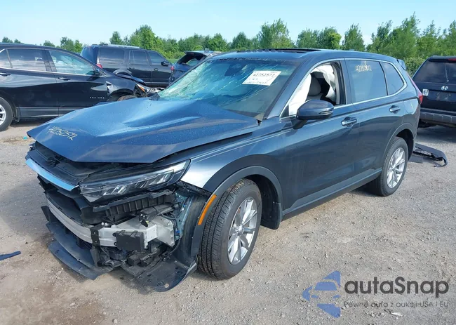 2HKRS4H41PH413655: 42752572