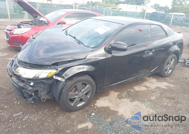 KNAFU6A26C5527224: 42751683