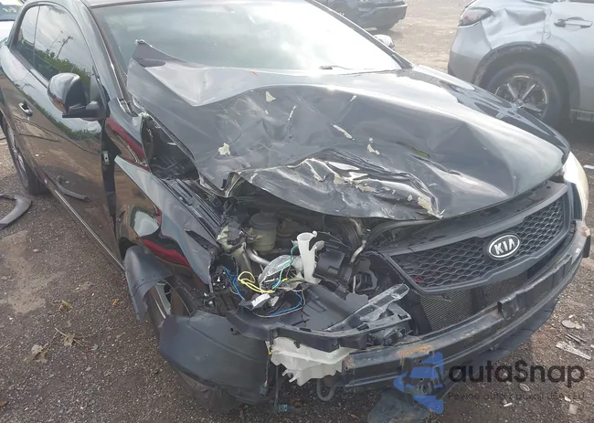 KNAFU6A26C5527224: 42751683