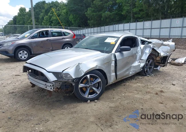 1ZVBP8AM1E5264534: 42754450