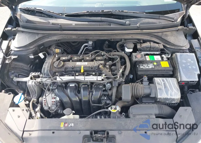 5NPD74LF0LH503541: 42753986