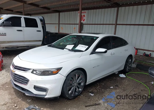 1G1ZH5SX2GF223079: 42755290