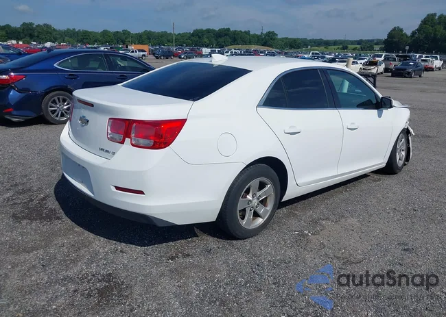 1G11C5SLXFF195636: 42755468