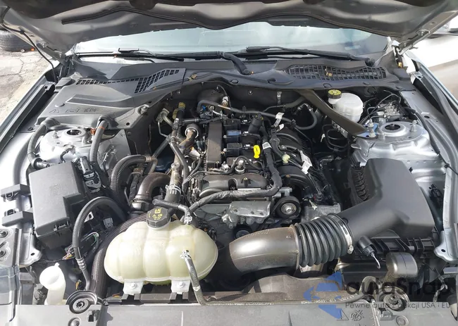 1FATP8UH2M5101370: 42756464