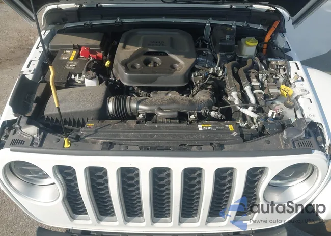 1C4JJXP61PW604992: 42756572