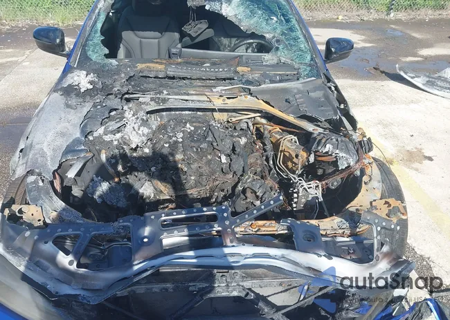 WBA33DB07SCT88352: 42755957