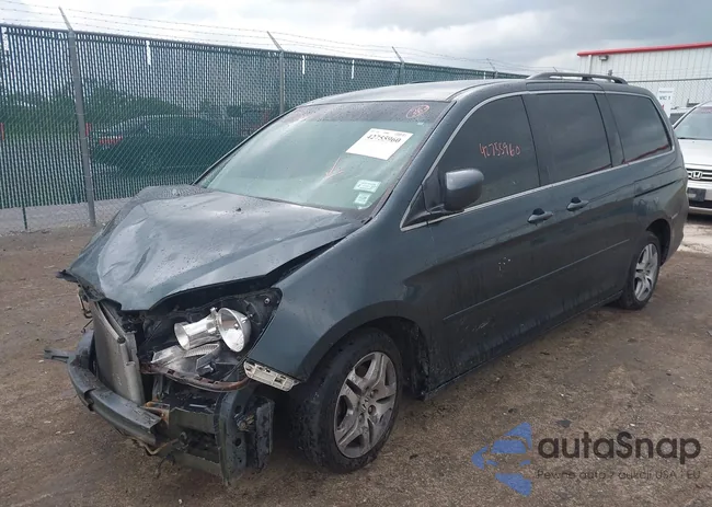 5FNRL38486B008137: 42755960