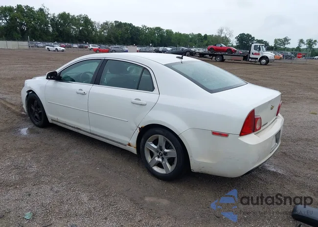 1G1ZC5EB3AF259630: 42758077