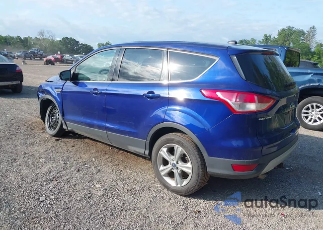 1FMCU9GX5FUB58355: 42758284