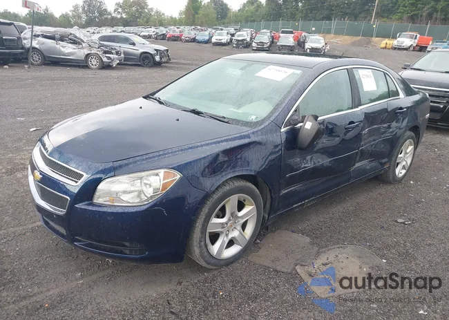 1G1ZB5E13BF149852: 42758626