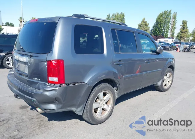 5FNYF4H66AB025960: 42759497