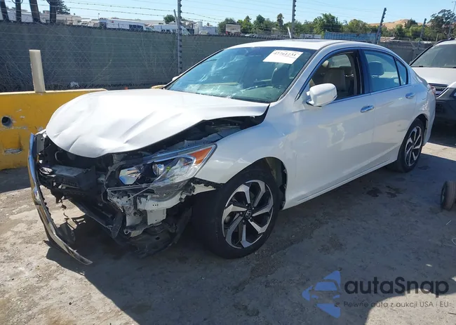 1HGCR3F80HA025862: 42761231