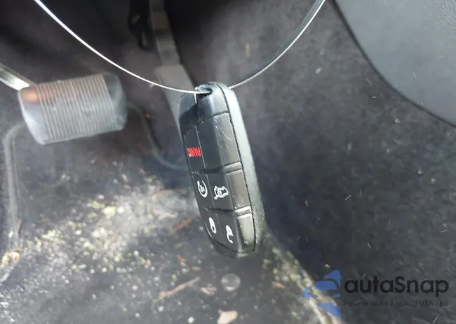 1C4SDJCT9JC239460: 42761453