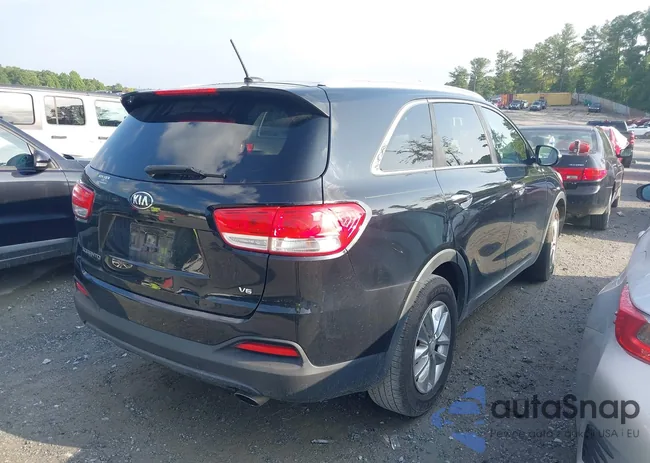 5XYPG4A58GG138644: 42762495