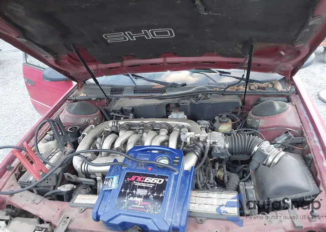 1FALP54P8PA317029: 42762053