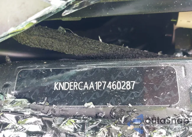 KNDERCAA1P7460287: 42763497