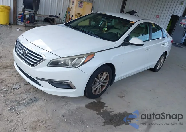 5NPE24AF5FH186401: 42763632