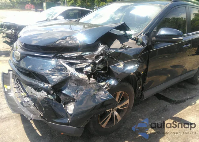 JTMWFREV5HJ713905: 42764406