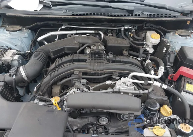 JF2GTACC3PG215649: 42765595