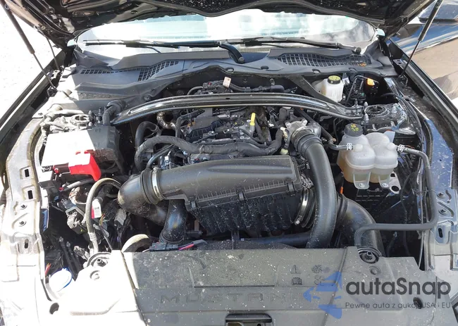 1FAGP8UH4S5111302: 42766625