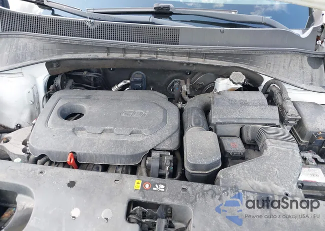 5XYPG4A34GG012862: 42767019