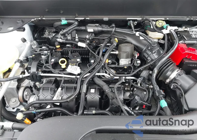 3FTTW8J99RRB01008: 42769270