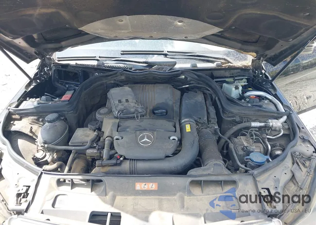 WDDGJ4HB4DF960262: 42769489