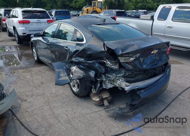 1G1ZB5ST6HF179572: 42770393