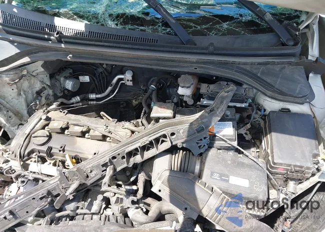 KMHD74LF6HU390283: 42771590