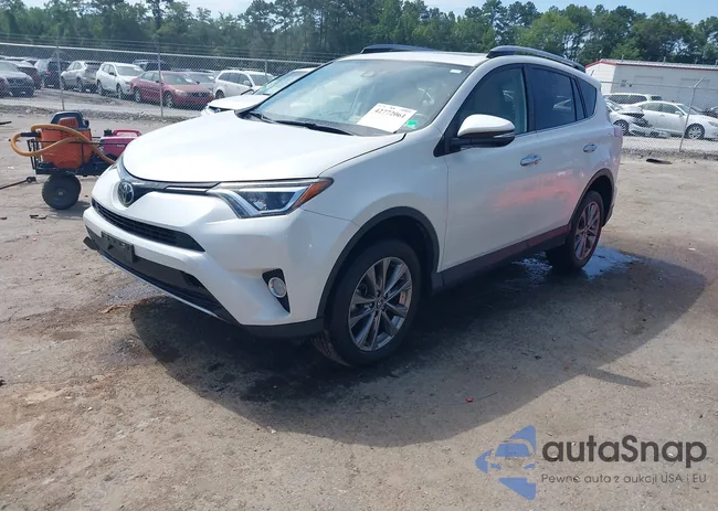 JTMDFREV2JJ256404: 42772061