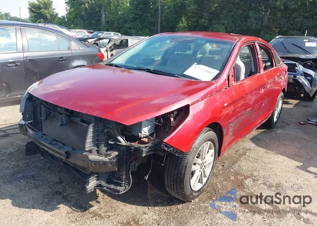 5NPE24AFXFH151983: 42772509