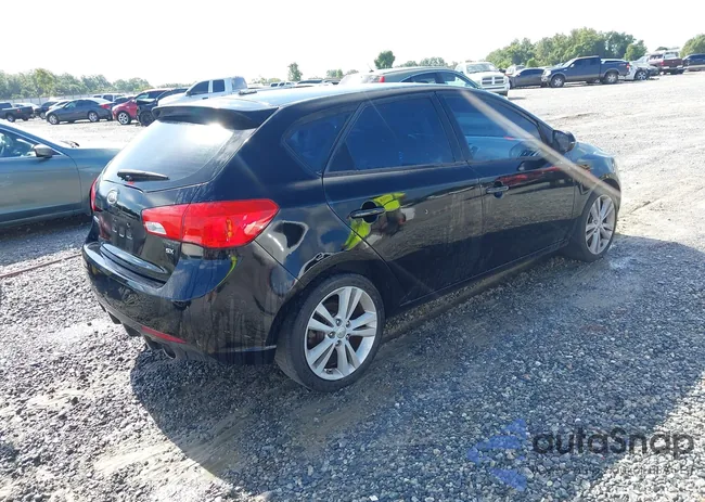 KNAFW5A38C5560917: 42774299