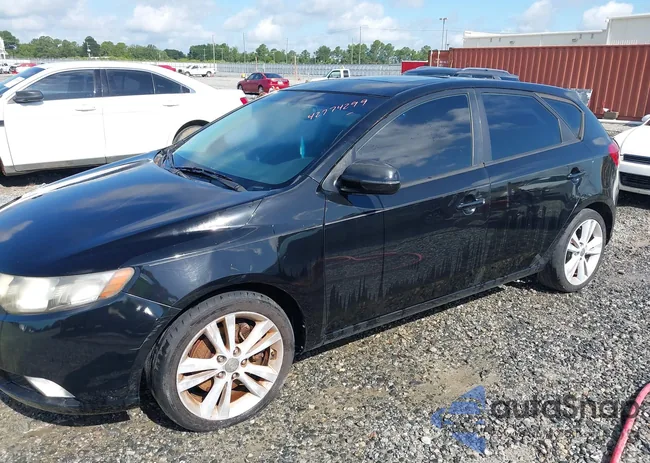 KNAFW5A38C5560917: 42774299