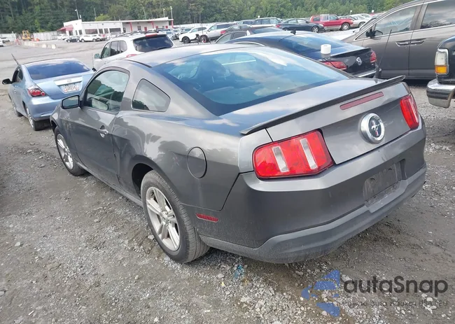 1ZVBP8AN9A5181906: 42774503