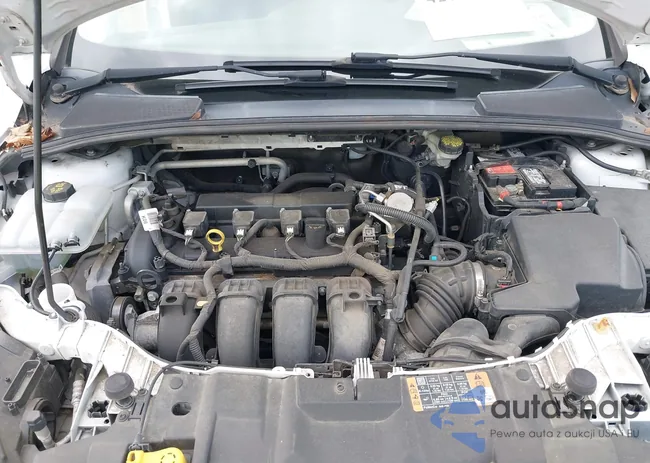 1FADP3F23GL402813: 42773766