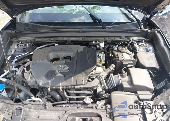 3MVDMBBMXPM506524: 42777078