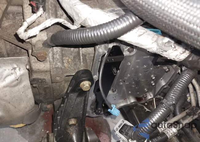 1G11H5SL2EF278087: 42779561