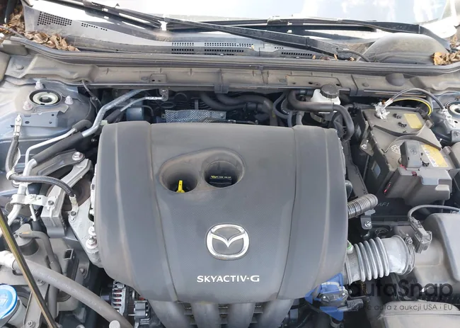 JM1BPAML4M1306908: 42780488