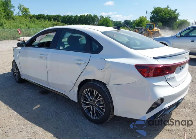 3KPF54AD5RE813245: 42779697