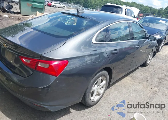 1G1ZB5STXJF181556: 42779899