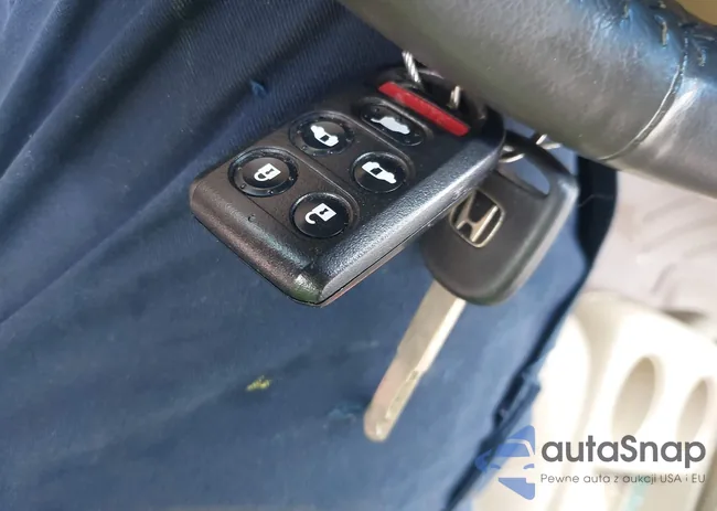 5FNRL38858B097302: 42781169