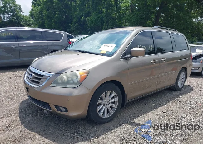 5FNRL38858B097302: 42781169