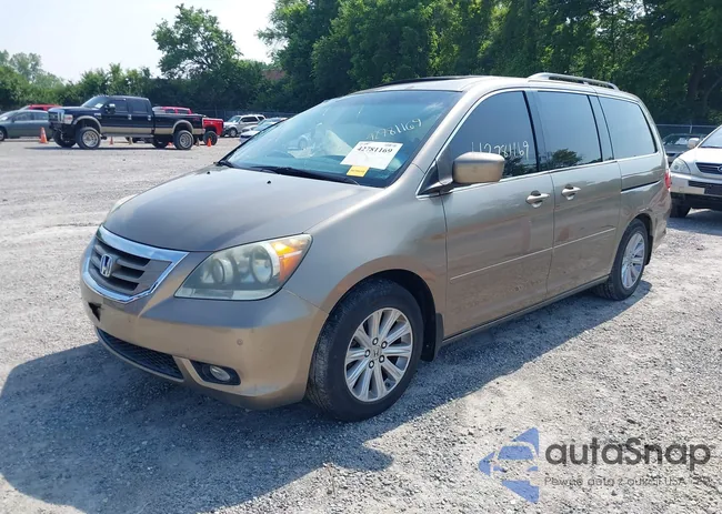 5FNRL38858B097302: 42781169