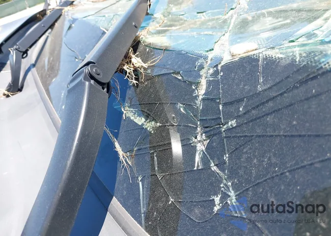 5TDKZRFHXHS190012: 42780967