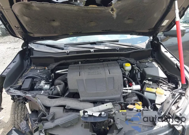 JF2SKADC6RH405034: 42782354