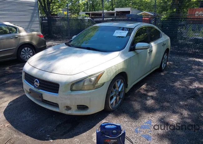 1N4AA5AP0BC808317: 42783165