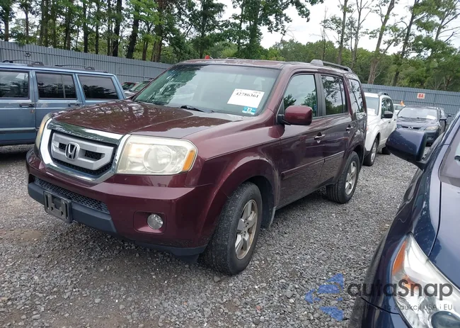 5FNYF48409B004323: 42786361